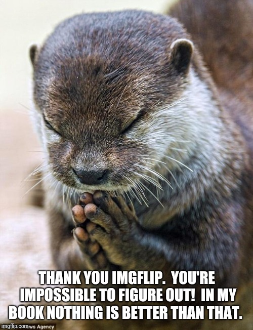 Thank you Lord Otter | THANK YOU IMGFLIP.  YOU'RE IMPOSSIBLE TO FIGURE OUT!  IN MY BOOK NOTHING IS BETTER THAN THAT. | image tagged in thank you lord otter | made w/ Imgflip meme maker