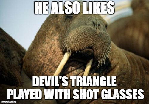 Sexual Deviant Walrus Meme | HE ALSO LIKES DEVIL'S TRIANGLE PLAYED WITH SHOT GLASSES | image tagged in memes,sexual deviant walrus | made w/ Imgflip meme maker