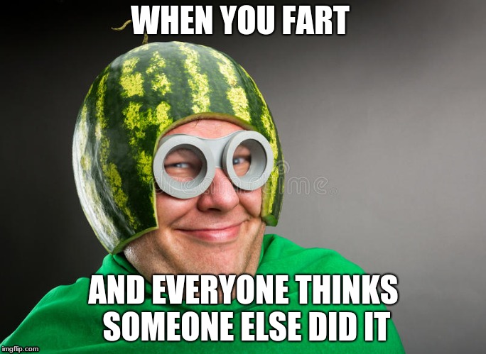 when you fart | WHEN YOU FART; AND EVERYONE THINKS SOMEONE ELSE DID IT | image tagged in smug watermelon | made w/ Imgflip meme maker