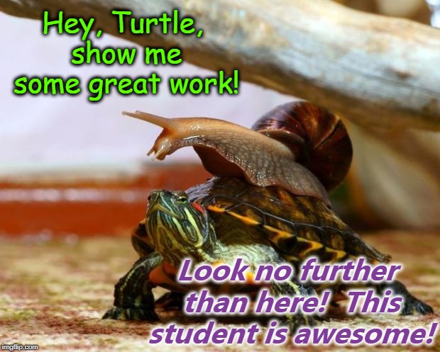 snail on a turtle | Hey, Turtle, show me some great work! Look no further than here!  This student is awesome! | image tagged in snail on a turtle | made w/ Imgflip meme maker