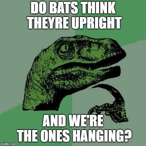 Philosoraptor Meme | DO BATS THINK THEYRE UPRIGHT; AND WE'RE THE ONES HANGING? | image tagged in memes,philosoraptor | made w/ Imgflip meme maker