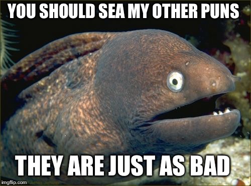 Bad Joke Eel Meme | YOU SHOULD SEA MY OTHER PUNS THEY ARE JUST AS BAD | image tagged in memes,bad joke eel | made w/ Imgflip meme maker