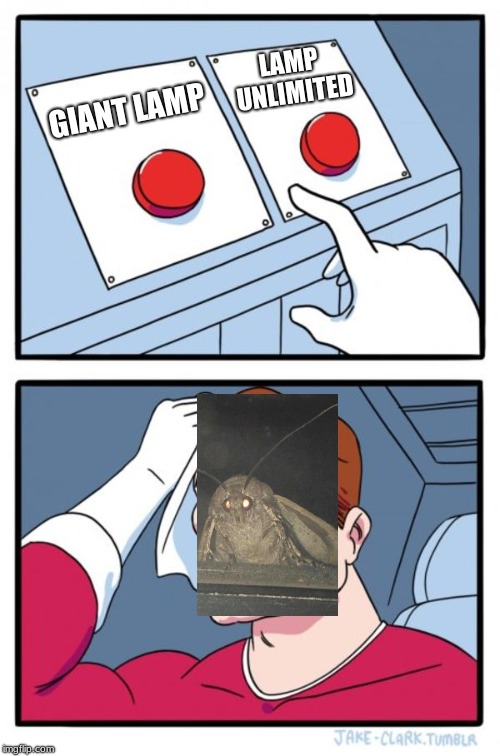 Two Buttons | LAMP UNLIMITED; GIANT LAMP | image tagged in memes,two buttons | made w/ Imgflip meme maker