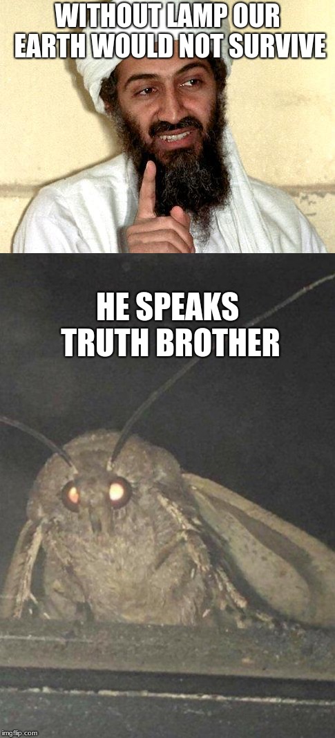 WITHOUT LAMP OUR EARTH WOULD NOT SURVIVE; HE SPEAKS TRUTH BROTHER | image tagged in moth | made w/ Imgflip meme maker
