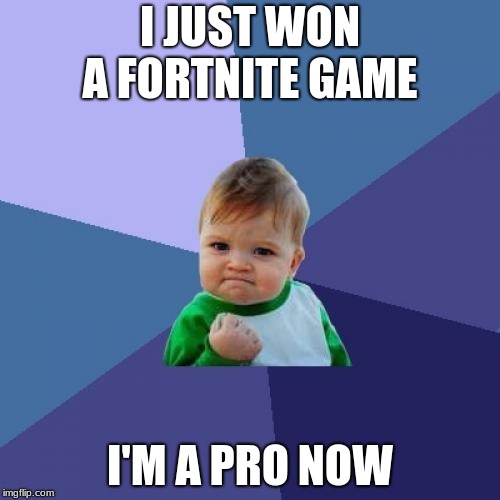 Success Kid | I JUST WON A FORTNITE GAME; I'M A PRO NOW | image tagged in memes,success kid | made w/ Imgflip meme maker