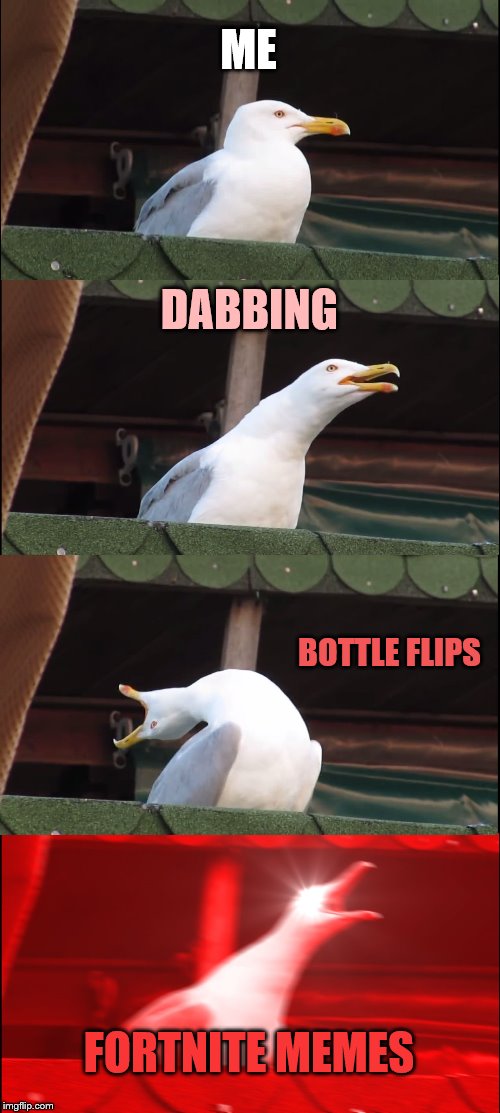 Inhaling Seagull Meme | ME; DABBING; BOTTLE FLIPS; FORTNITE MEMES | image tagged in memes,inhaling seagull | made w/ Imgflip meme maker