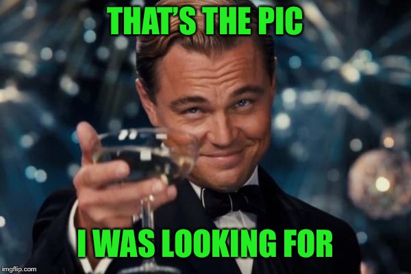 Leonardo Dicaprio Cheers Meme | THAT’S THE PIC I WAS LOOKING FOR | image tagged in memes,leonardo dicaprio cheers | made w/ Imgflip meme maker