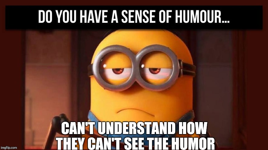 My Disappointment  | CAN'T UNDERSTAND HOW THEY CAN'T SEE THE HUMOR | image tagged in not funny | made w/ Imgflip meme maker