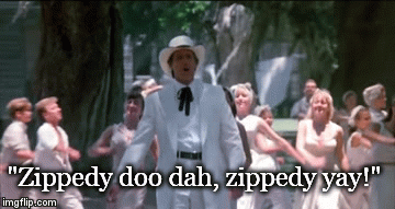 "Zippedy doo dah, zippedy yay!" | image tagged in gifs | made w/ Imgflip video-to-gif maker