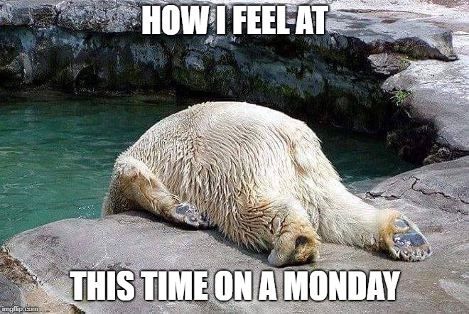 polar bear monday | HOW I FEEL AT; THIS TIME ON A MONDAY | image tagged in how i feel | made w/ Imgflip meme maker