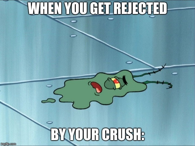 Run Over Plankton | WHEN YOU GET REJECTED; BY YOUR CRUSH: | image tagged in run over plankton | made w/ Imgflip meme maker
