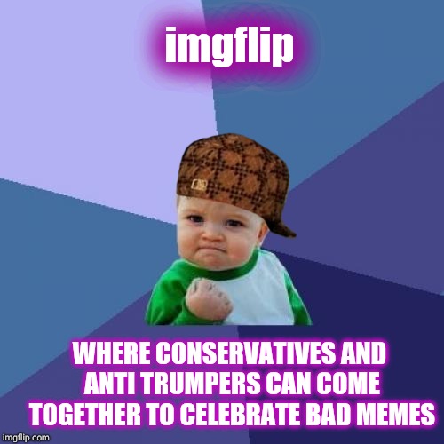 thank you imgflip | imgflip; WHERE CONSERVATIVES AND ANTI TRUMPERS CAN COME TOGETHER TO CELEBRATE BAD MEMES | image tagged in memes,success kid,scumbag | made w/ Imgflip meme maker