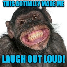 THIS ACTUALLY MADE ME LAUGH OUT LOUD! | image tagged in grinning chimp | made w/ Imgflip meme maker