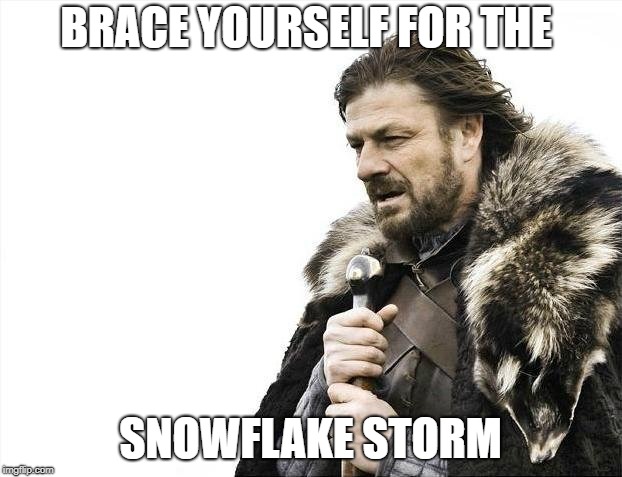 Brace Yourselves X is Coming Meme | BRACE YOURSELF FOR THE; SNOWFLAKE STORM | image tagged in memes,brace yourselves x is coming | made w/ Imgflip meme maker