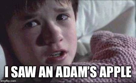 I See Dead People Meme | I SAW AN ADAM’S APPLE | image tagged in memes,i see dead people | made w/ Imgflip meme maker