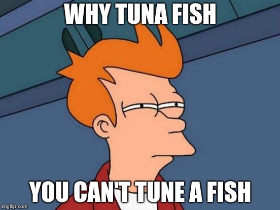 Futurama Fry | WHY TUNA FISH; YOU CAN'T TUNE A FISH | image tagged in memes,futurama fry | made w/ Imgflip meme maker