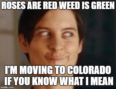 Spiderman Peter Parker Meme | ROSES ARE RED WEED IS GREEN; I'M MOVING TO COLORADO IF YOU KNOW WHAT I MEAN | image tagged in memes,spiderman peter parker | made w/ Imgflip meme maker