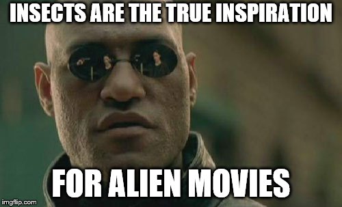 Matrix Morpheus Meme | INSECTS ARE THE TRUE INSPIRATION; FOR ALIEN MOVIES | image tagged in memes,matrix morpheus | made w/ Imgflip meme maker