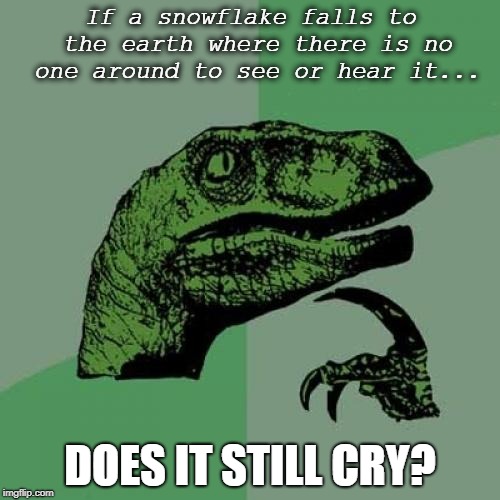 Philosoraptor | If a snowflake falls to the earth where there is no one around to see or hear it... DOES IT STILL CRY? | image tagged in memes,philosoraptor | made w/ Imgflip meme maker