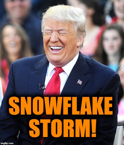 Trump laughing at liberals | SNOWFLAKE STORM! | image tagged in trump laughing at liberals | made w/ Imgflip meme maker