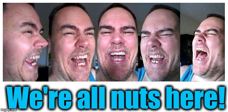 LOL | We're all nuts here! | image tagged in lol | made w/ Imgflip meme maker