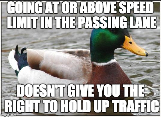 Actual Advice Mallard Meme | GOING AT OR ABOVE SPEED LIMIT IN THE PASSING LANE; DOESN'T GIVE YOU THE RIGHT TO HOLD UP TRAFFIC | image tagged in memes,actual advice mallard | made w/ Imgflip meme maker