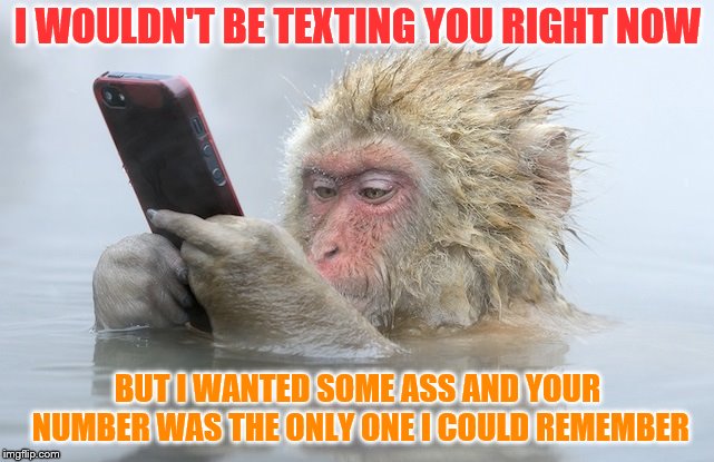 monkey cell phone | I WOULDN'T BE TEXTING YOU RIGHT NOW; BUT I WANTED SOME ASS AND YOUR NUMBER WAS THE ONLY ONE I COULD REMEMBER | image tagged in monkey cell phone | made w/ Imgflip meme maker