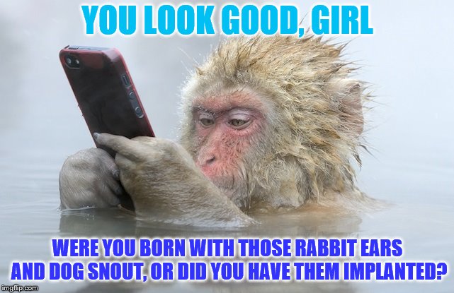 What's the obsession with Snapchat filters? Does every 10-40 year old girl have a "furry" fetish? | YOU LOOK GOOD, GIRL; WERE YOU BORN WITH THOSE RABBIT EARS AND DOG SNOUT, OR DID YOU HAVE THEM IMPLANTED? | image tagged in monkey cell phone,snapchat,snapchat filter,furry | made w/ Imgflip meme maker