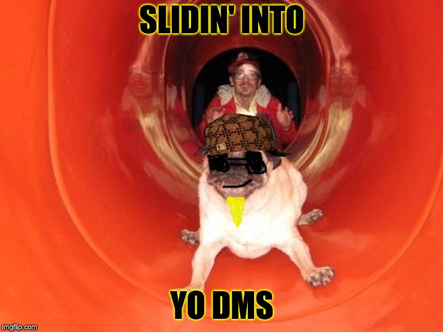 Dog Slide | SLIDIN' INTO; YO DMS | image tagged in dog slide,scumbag | made w/ Imgflip meme maker
