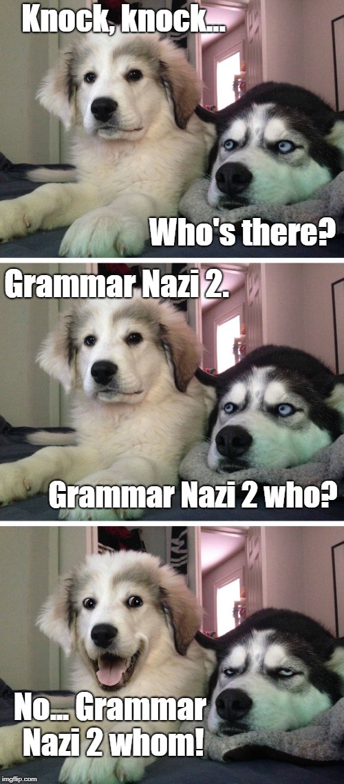 I did Nazi that one coming... | Knock, knock... Who's there? Grammar Nazi 2. Grammar Nazi 2 who? No... Grammar Nazi 2 whom! | image tagged in bad pun dogs | made w/ Imgflip meme maker