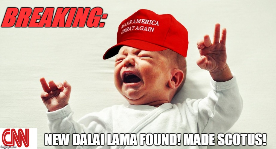 New Trump SCOTUS pick! | BREAKING:; NEW DALAI LAMA FOUND! MADE SCOTUS! | image tagged in conservatives,scotus,politics,brett kavanaugh | made w/ Imgflip meme maker