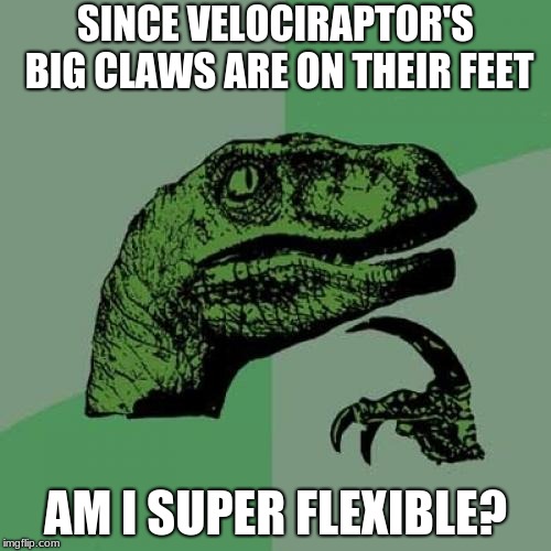 Philosoraptor | SINCE VELOCIRAPTOR'S BIG CLAWS ARE ON THEIR FEET; AM I SUPER FLEXIBLE? | image tagged in memes,philosoraptor | made w/ Imgflip meme maker