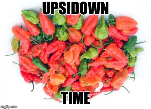 UPSIDOWN; TIME | image tagged in spicy peppers | made w/ Imgflip meme maker