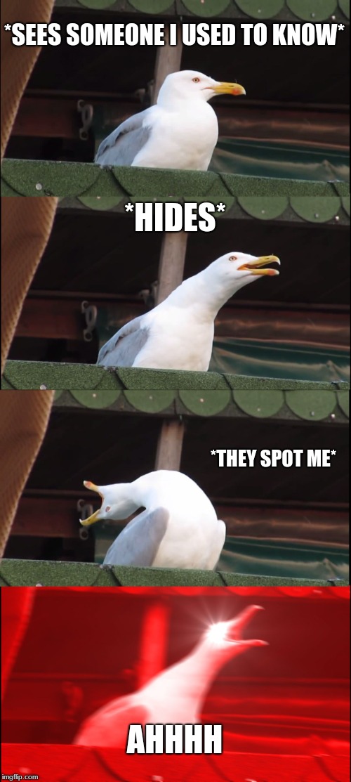 Inhaling Seagull Meme | *SEES SOMEONE I USED TO KNOW*; *HIDES*; *THEY SPOT ME*; AHHHH | image tagged in memes,inhaling seagull | made w/ Imgflip meme maker