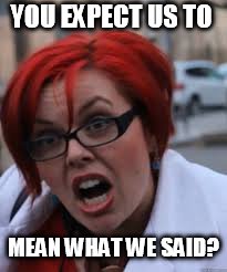 SJW Triggered | YOU EXPECT US TO MEAN WHAT WE SAID? | image tagged in sjw triggered | made w/ Imgflip meme maker