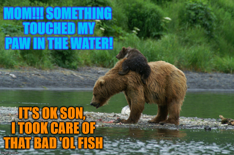 Bear Cub | MOM!!! SOMETHING TOUCHED MY PAW IN THE WATER! IT'S OK SON, I TOOK CARE OF THAT BAD 'OL FISH | image tagged in bear cub,memes,touch,fish | made w/ Imgflip meme maker