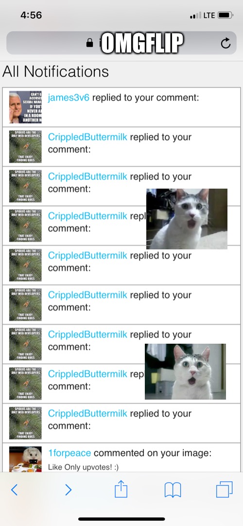 When you log back on to imgflip, and find 8 notifications from the same user | OMGFLIP | image tagged in memes,imgflip,8 comments,crippledbuttermilk | made w/ Imgflip meme maker