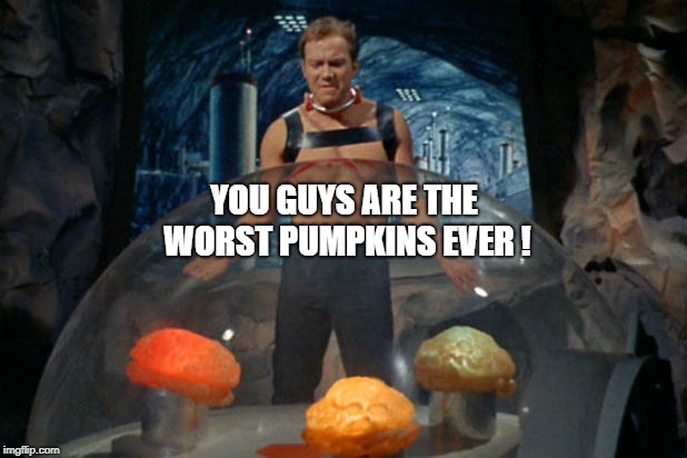 YOU GUYS ARE THE WORST PUMPKINS EVER ! | image tagged in star trek,pumpkins,pumpkin spice,bad brains,melting,halloween | made w/ Imgflip meme maker