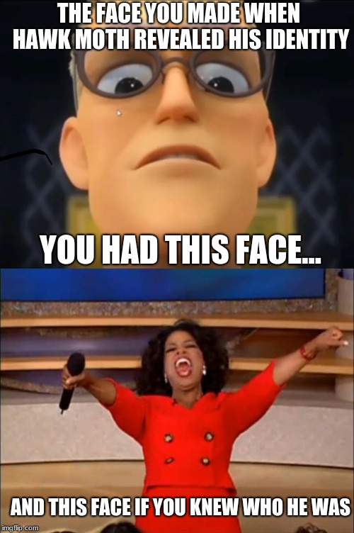 Making so Many Faces | THE FACE YOU MADE WHEN HAWK MOTH REVEALED HIS IDENTITY; YOU HAD THIS FACE... AND THIS FACE IF YOU KNEW WHO HE WAS | image tagged in miraculous ladybug,face reveal | made w/ Imgflip meme maker
