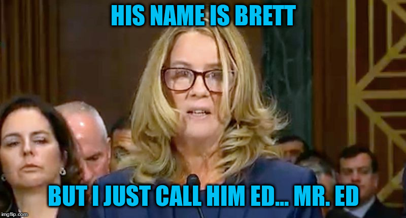 Christine Blasey Ford | HIS NAME IS BRETT BUT I JUST CALL HIM ED... MR. ED | image tagged in christine blasey ford | made w/ Imgflip meme maker