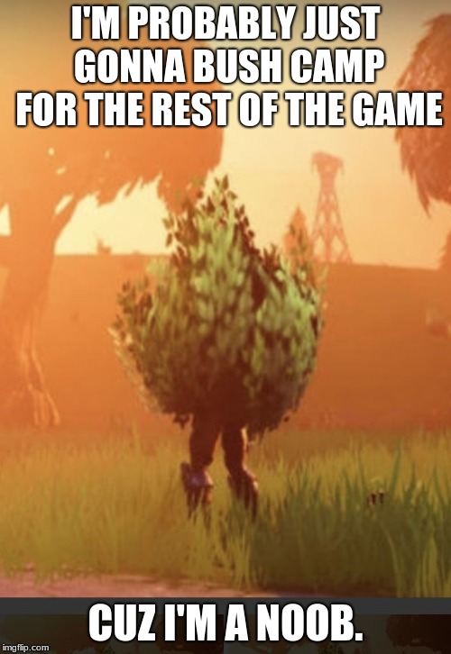 Fortnite bush | I'M PROBABLY JUST GONNA BUSH CAMP FOR THE REST OF THE GAME; CUZ I'M A NOOB. | image tagged in fortnite bush | made w/ Imgflip meme maker