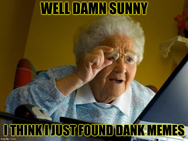 Grandma Finds The Internet | WELL DAMN SUNNY; I THINK I JUST FOUND DANK MEMES | image tagged in memes,grandma finds the internet | made w/ Imgflip meme maker