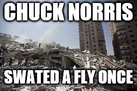 chuck norris | CHUCK NORRIS; SWATED A FLY ONCE | image tagged in chuck norris,fly | made w/ Imgflip meme maker