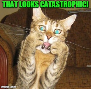 Scared cat | THAT LOOKS CATASTROPHIC! | image tagged in scared cat | made w/ Imgflip meme maker