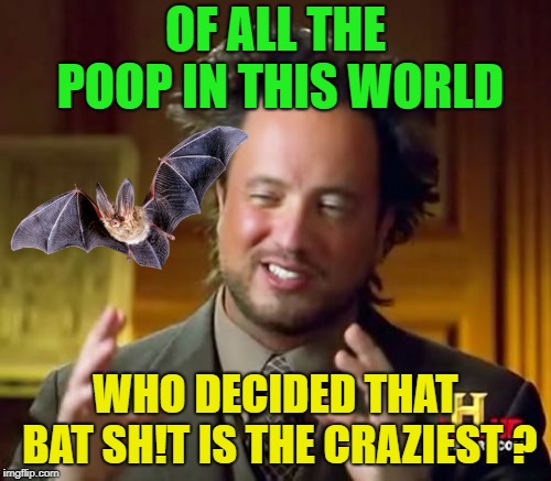 Fly Be Free | OF ALL THE POOP IN THIS WORLD; WHO DECIDED THAT BAT SH!T IS THE CRAZIEST ? | image tagged in memes,ancient aliens,funny,bats,crazy,poop | made w/ Imgflip meme maker