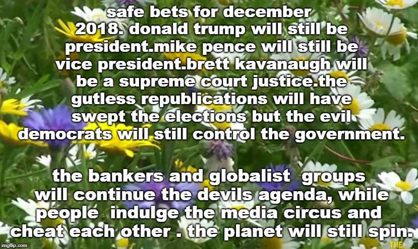 who will make up the point spread for these december 2018 questions ? | safe bets for december 2018. donald trump will still be president.mike pence will still be vice president.brett kavanaugh will be a supreme court justice.the gutless republications will have swept the elections but the evil democrats will still control the government. the bankers and globalist  groups will continue the devils agenda, while people  indulge the media circus and  cheat each other . the planet will still spin. | image tagged in safe bet,brett kavanaugh,evil government | made w/ Imgflip meme maker
