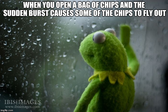 kermit window | WHEN YOU OPEN A BAG OF CHIPS AND THE SUDDEN BURST CAUSES SOME OF THE CHIPS TO FLY OUT | image tagged in kermit window | made w/ Imgflip meme maker