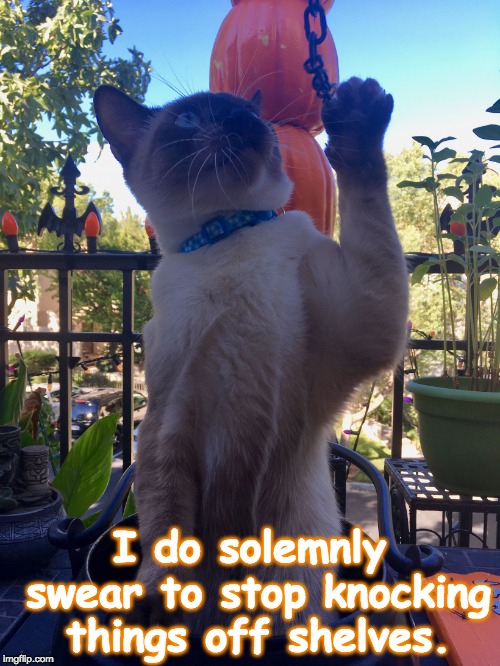 I do solemnly swear to stop knocking things off shelves. | image tagged in mushu | made w/ Imgflip meme maker