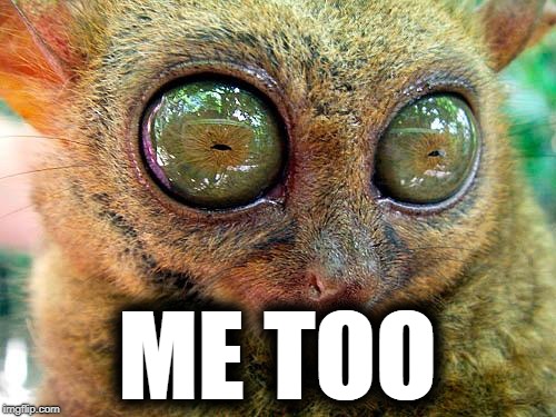 big eyes | ME TOO | image tagged in big eyes | made w/ Imgflip meme maker