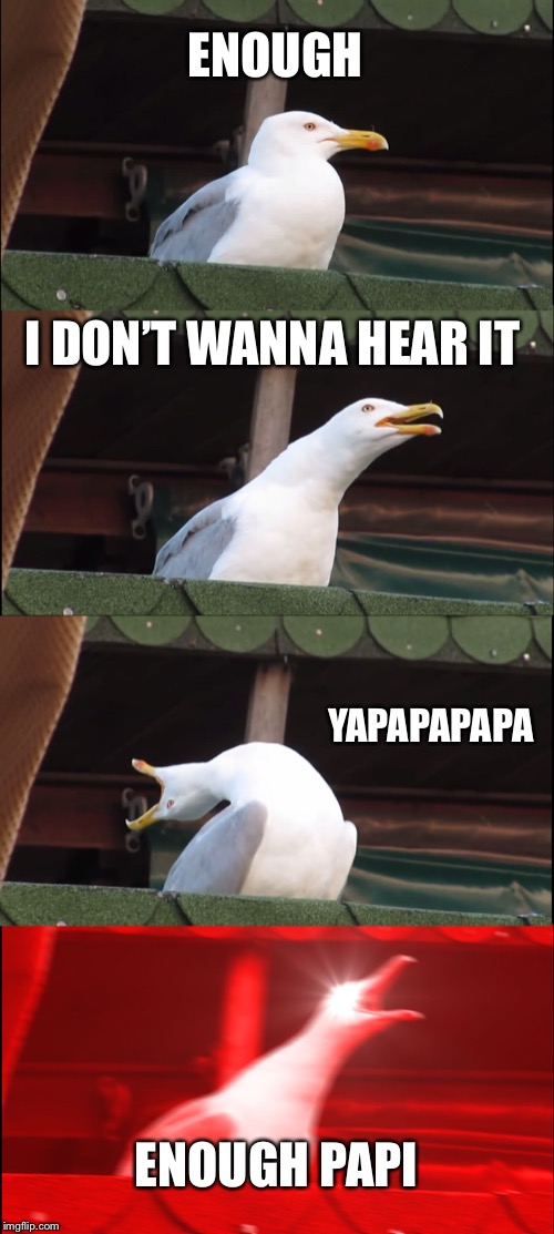 Inhaling Seagull Meme | ENOUGH; I DON’T WANNA HEAR IT; YAPAPAPAPA; ENOUGH PAPI | image tagged in memes,inhaling seagull | made w/ Imgflip meme maker